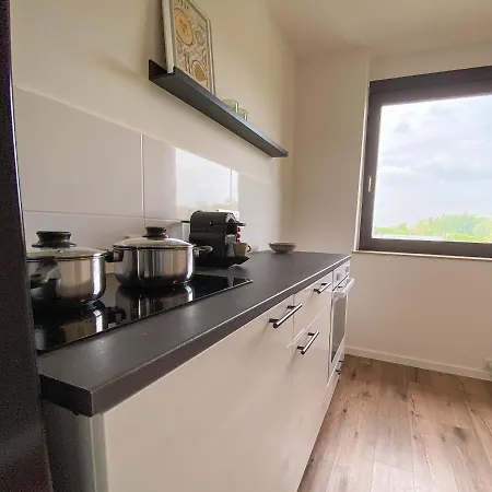 Apartmán Mit Rheinblick, Messe, Balkon, Kueche, Parkplatz *