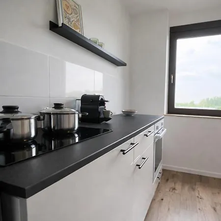 Appartement Mit Rheinblick, Messe, Balkon, Kueche, Parkplatz *